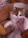 mennyaah Altpins Profile Picture