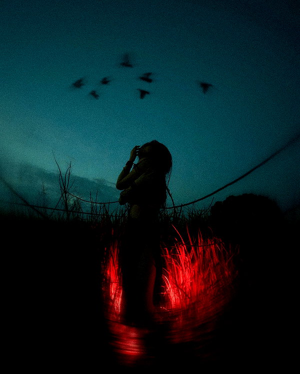 _mick.w archive image