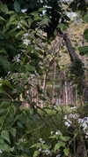shpaakova Altpins Profile Picture