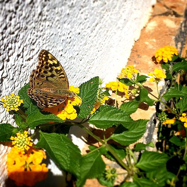 adihimelbloy instagram image archive image
