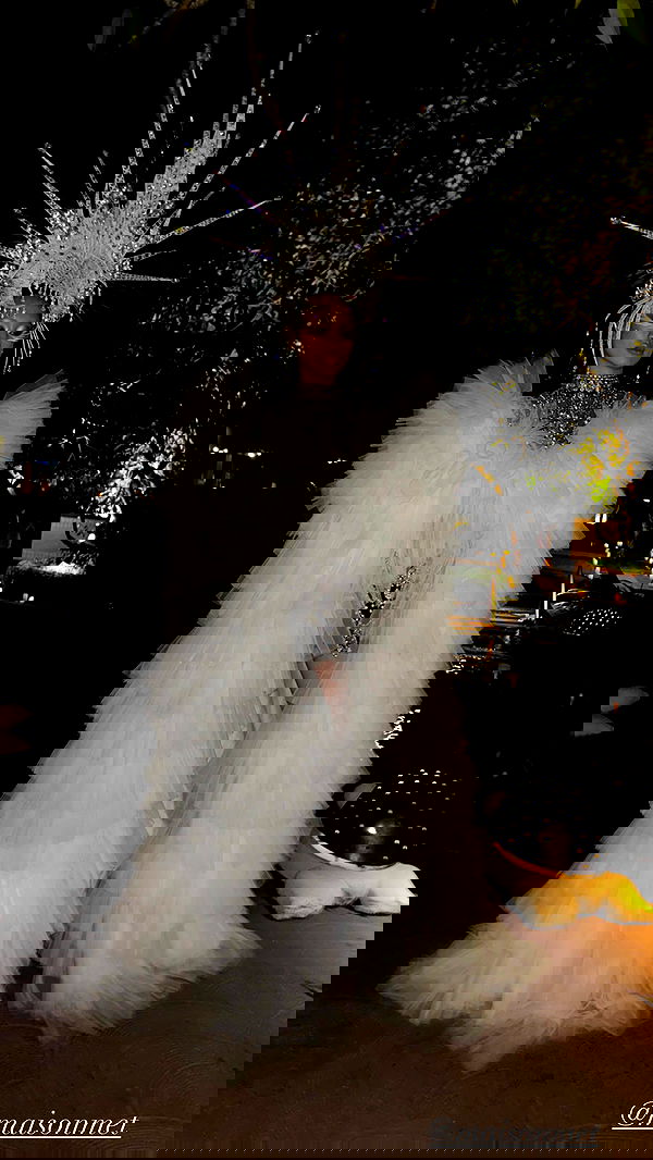 taylor.creeden taylor.creeden archive image