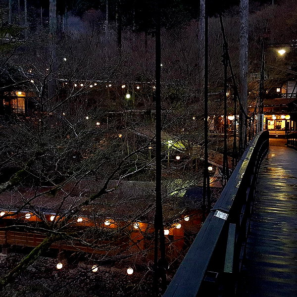 muze instagram image archive image