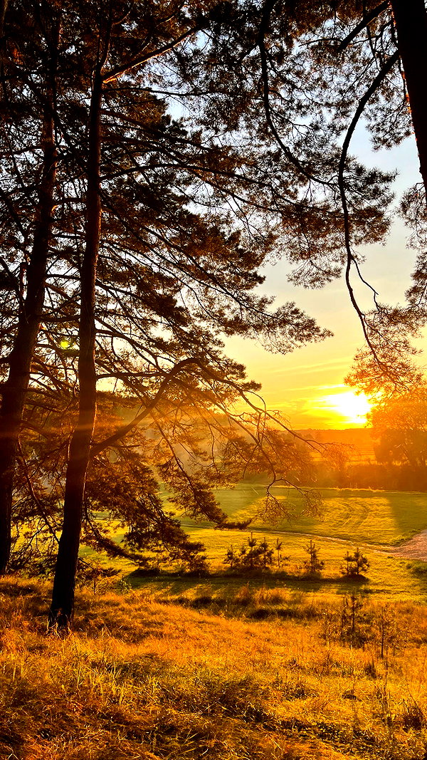 amatveyko instagram image archive image