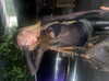 elizabethcampbelljones Altpins Profile Picture