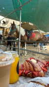 lera.genadenik Altpins Profile Picture