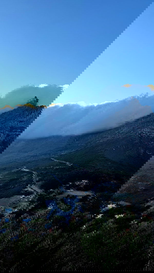 alexandramarianna alexandramarianna archive image