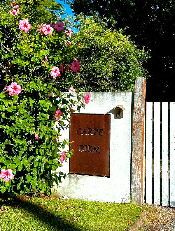 gabrielabee instagram image archive image