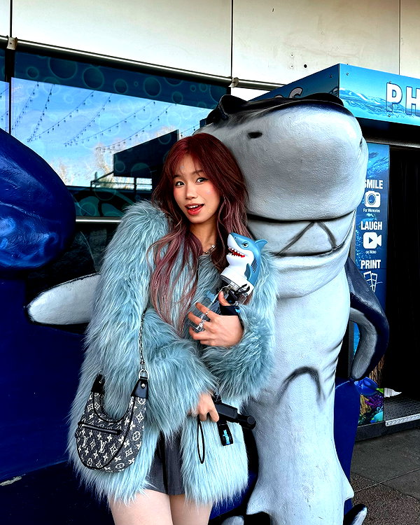 shulunc instagram image archive image