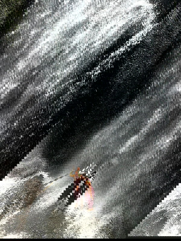 taylor.creeden taylor.creeden archive image