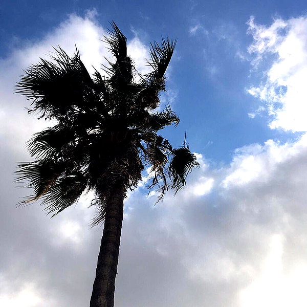 evasela__ instagram image archive image