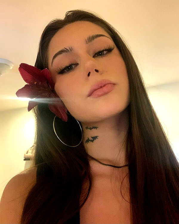 8.08.315 instagram image archive image