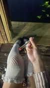 teakitten_ Altpins Profile Picture