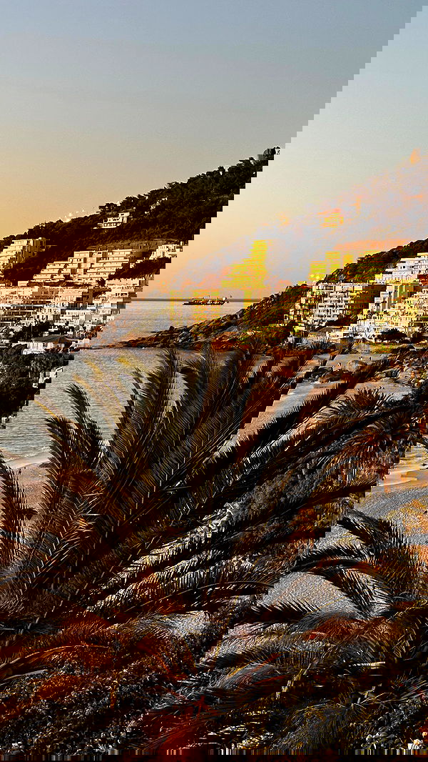 taylor.creeden taylor.creeden archive image