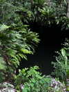 gissell_eli Altpins Profile Picture