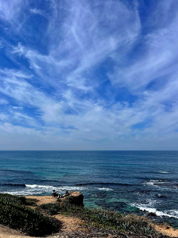 tamar_tsur instagram image archive image