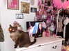 babydollslumber Altpins Profile Picture