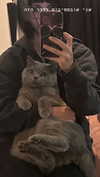 romxcohen Altpins Profile Picture