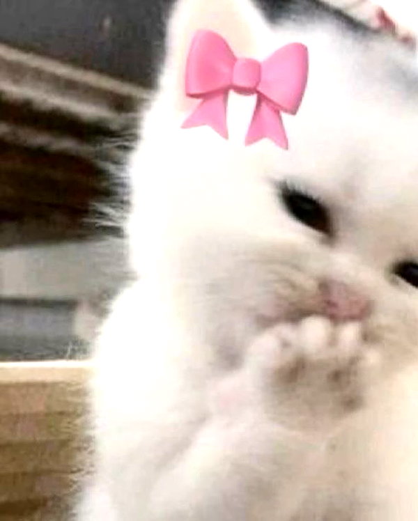 bakabakafuwa instagram image archive image