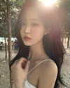 daxbin Altpins Profile Picture
