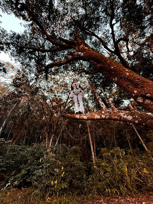 elowen.fawn instagram image archive image