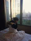 cialikechia Altpins Profile Picture