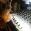 ashleybenson Altpins Profile Picture