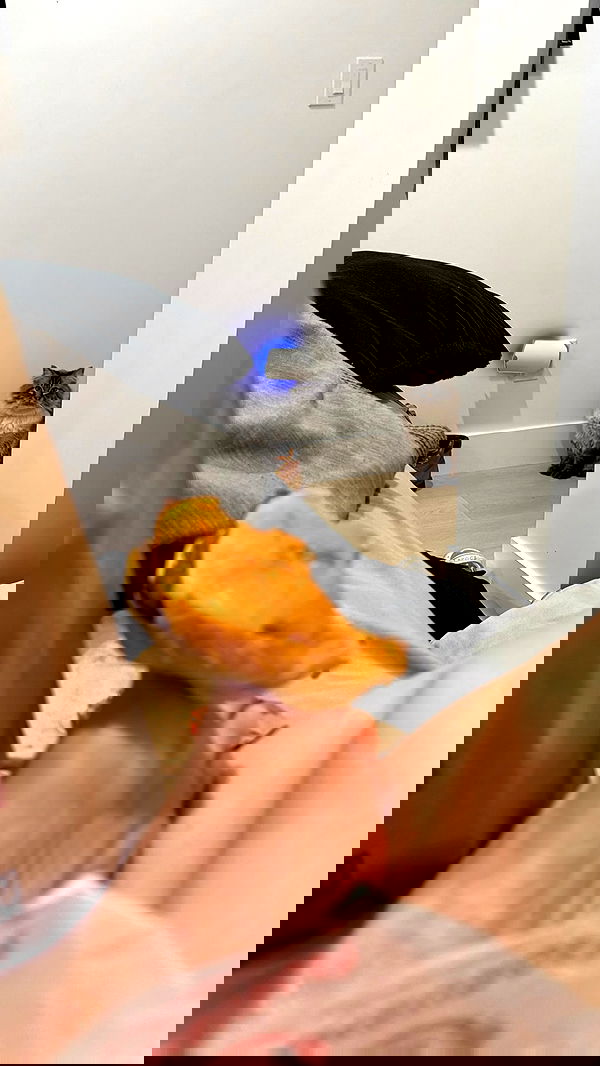 tiffanobi tiffanobi archive image