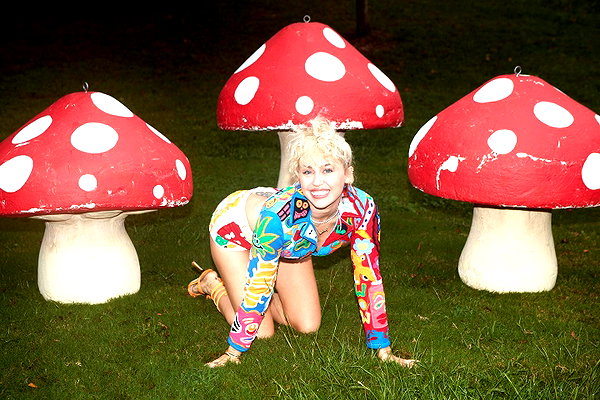 mileycyrus instagram image archive image
