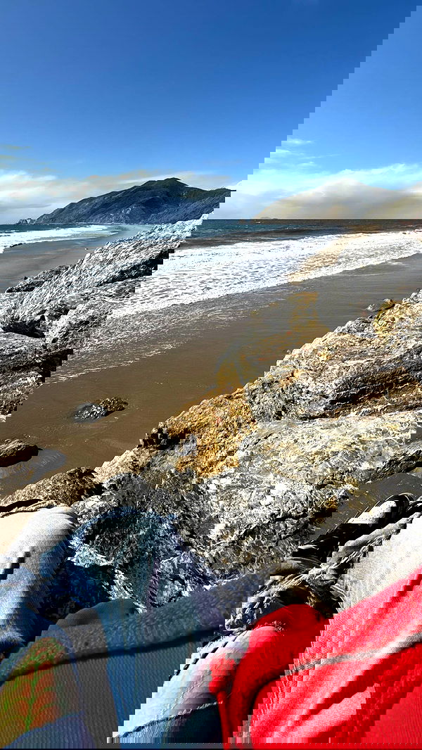 zommmbri zommmbri archive image