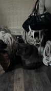 ash.onme Altpins Profile Picture