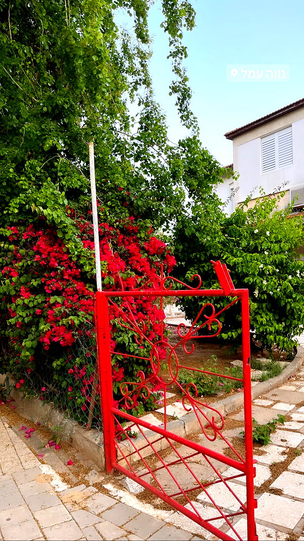 yaelxyazdi instagram image archive image