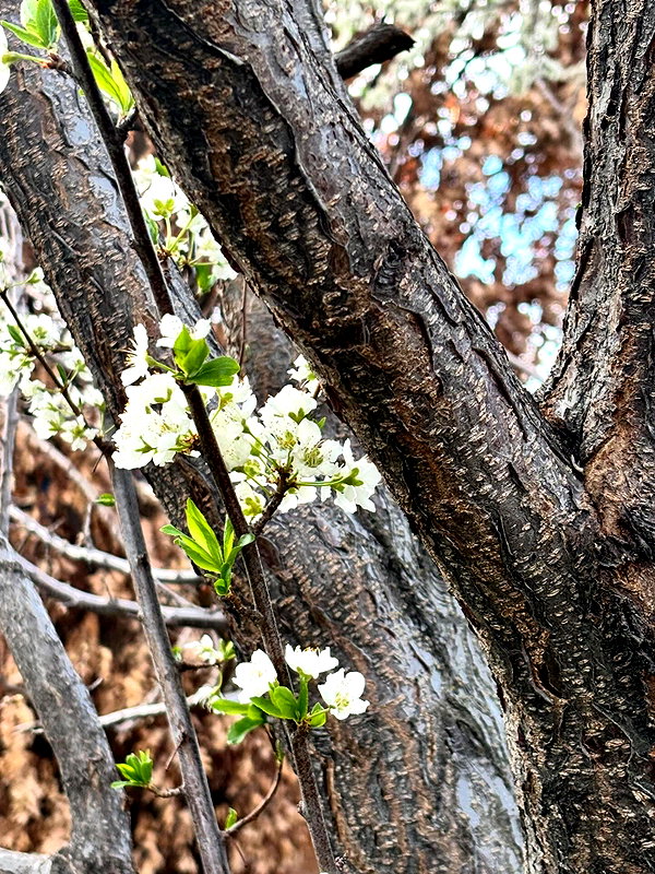 astarwbry_ instagram image archive image
