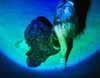 wormsheriff Altpins Profile Picture