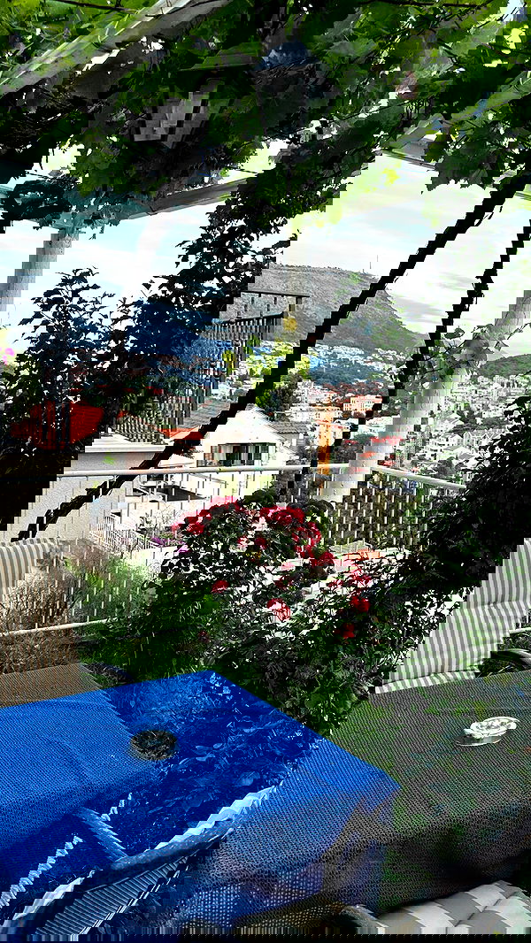 taylor.creeden taylor.creeden archive image