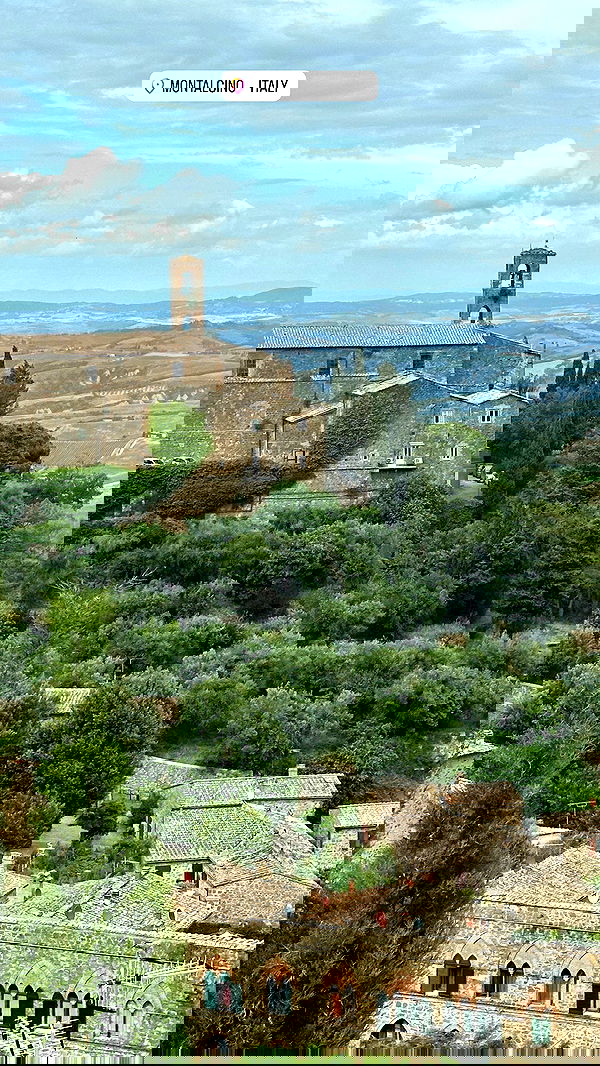 taylor.creeden taylor.creeden archive image