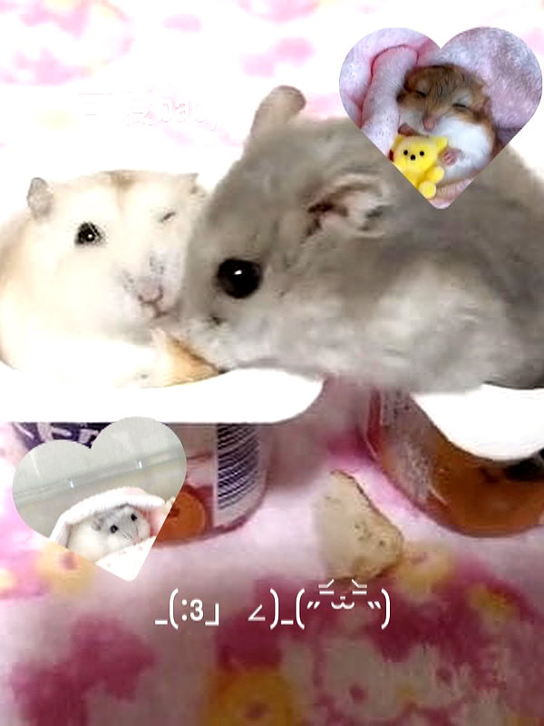 yuyuslivestreamdiary instagram image archive image