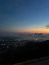 federica.piccinni Altpins Profile Picture