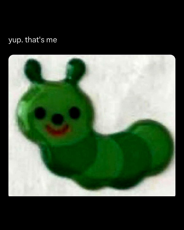 leanbeefpatty instagram image archive image