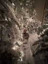 xtina Altpins Profile Picture