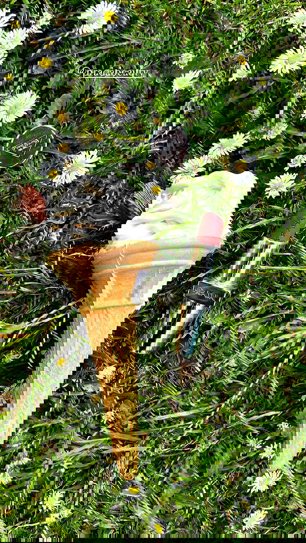 taylor.creeden taylor.creeden archive image