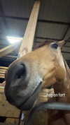 bloodymila Altpins Profile Picture