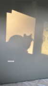 minenmi_ Altpins Profile Picture