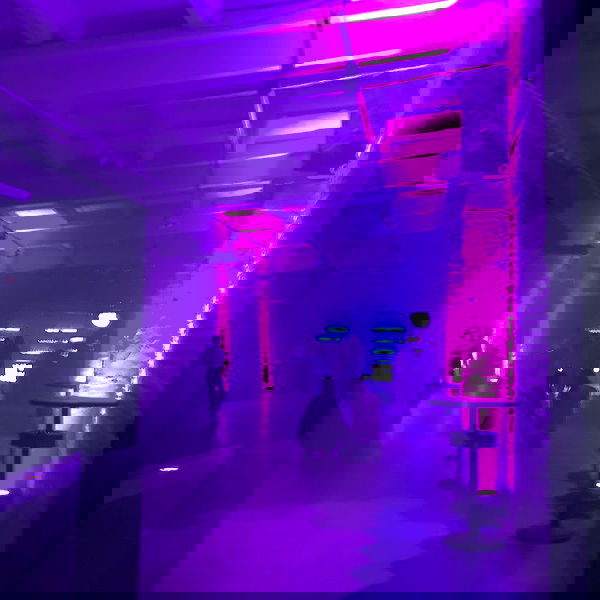 annfigmax image ~ Altpins