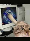 ellaexplicit_ Altpins Profile Picture