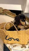 luciaaferrato Altpins Profile Picture