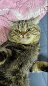 purin4a Altpins Profile Picture