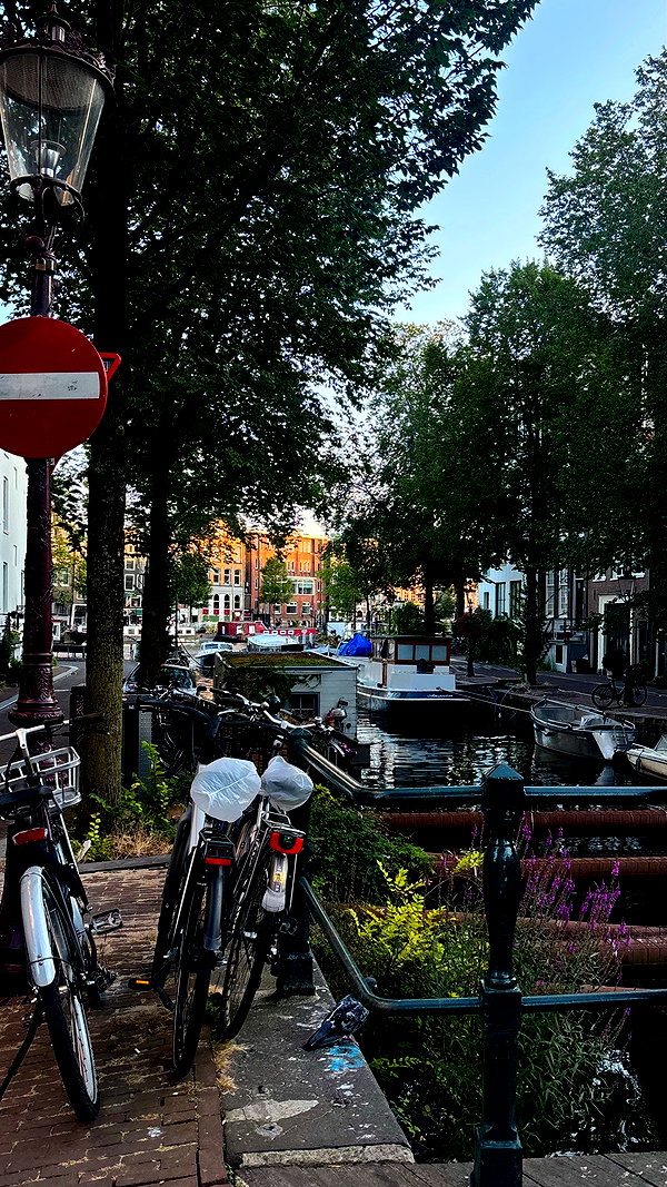 mollieruck instagram image archive image