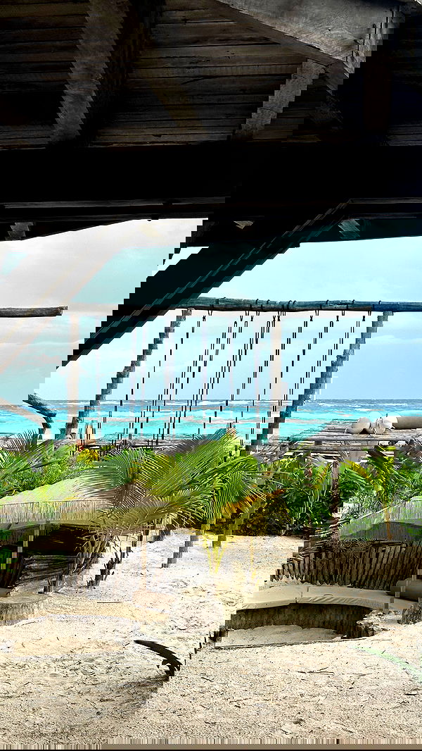 manjolamuriqi manjolamuriqi archive image