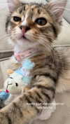 brain_eaterr Altpins Profile Picture