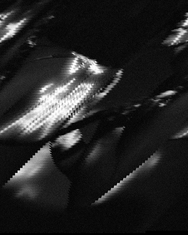 kkulakovaa image ~ Altpins